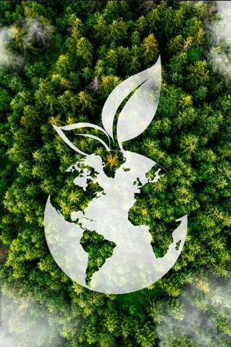 Sustainability Focus